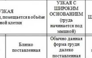 Грудь 7 размера – как выглядит, формы, плюсы и минусы