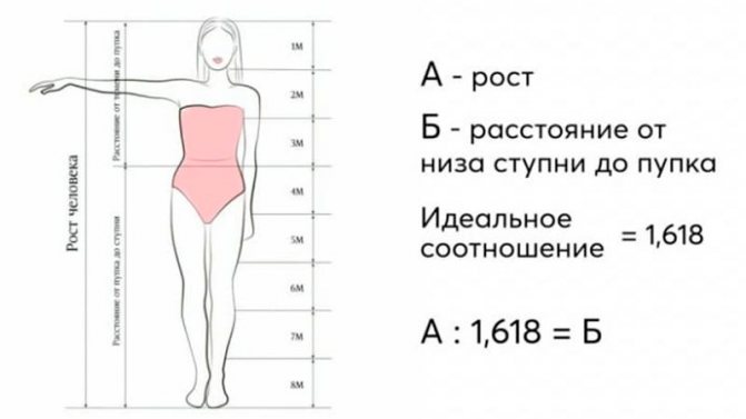 Как выбрать джинсы по фигуре